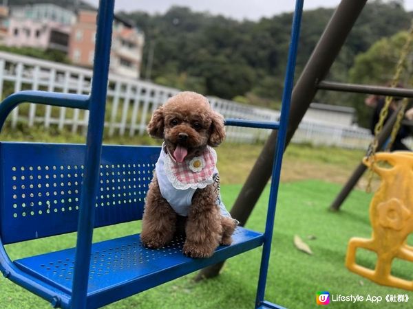 親子👨‍👩‍👧‍👦 寵物友善🐶🐾 假日好去處 有草泥馬睇？