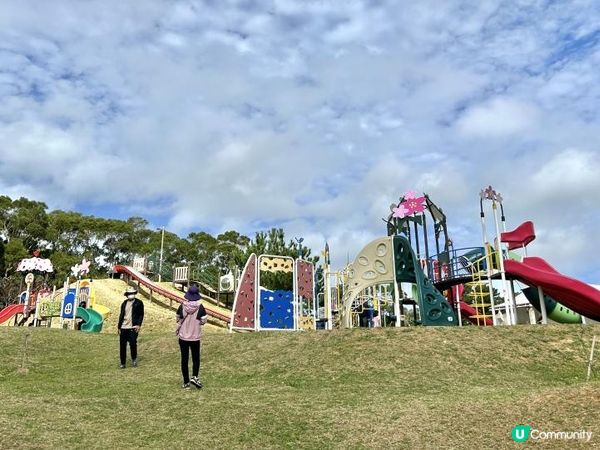 🐆豹紋魚🐟2023沖繩自駕遊｜北部景點：八重岳櫻之森公園、古宇利島（跨海大橋、海洋塔、心形石）