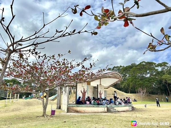 🐆豹紋魚🐟2023沖繩自駕遊｜北部景點：八重岳櫻之森公園、古宇利島（跨海大橋、海洋塔、心形石）