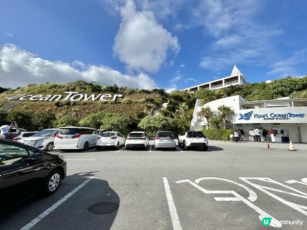 🐆豹紋魚🐟2023沖繩自駕遊｜北部景點：八重岳櫻之森公園、古宇利島（跨海大橋、海洋塔、心形石）