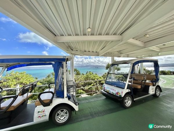 🐆豹紋魚🐟2023沖繩自駕遊｜北部景點：八重岳櫻之森公園、古宇利島（跨海大橋、海洋塔、心形石）