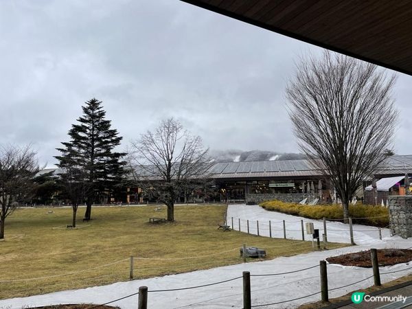 2023 東京 河口湖 輕井澤 8日7夜