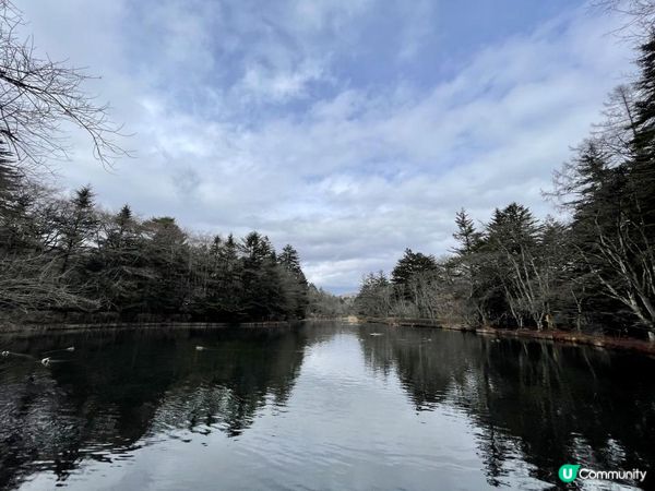 2023 東京 河口湖 輕井澤 8日7夜