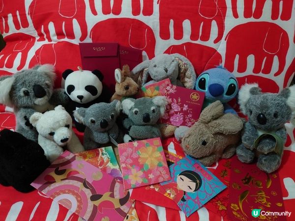 40歲後留港study holiday