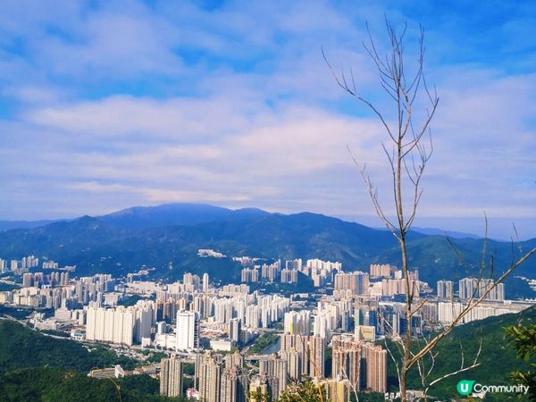 [行山要打卡] 30 - 黃牛山。水牛山