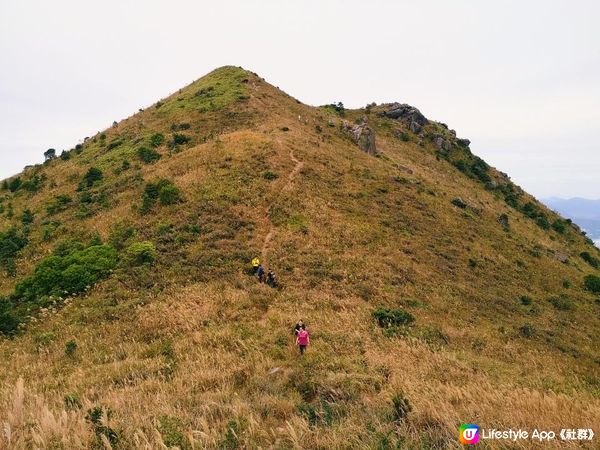 [行山要打卡] 30 - 黃牛山。水牛山