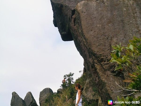 [行山要打卡] 30 - 黃牛山。水牛山