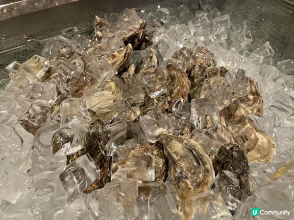 🦪 即開生蠔•抵食回本自助餐