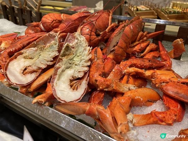 🦪 即開生蠔•抵食回本自助餐