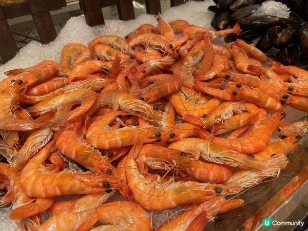 🦪 即開生蠔•抵食回本自助餐