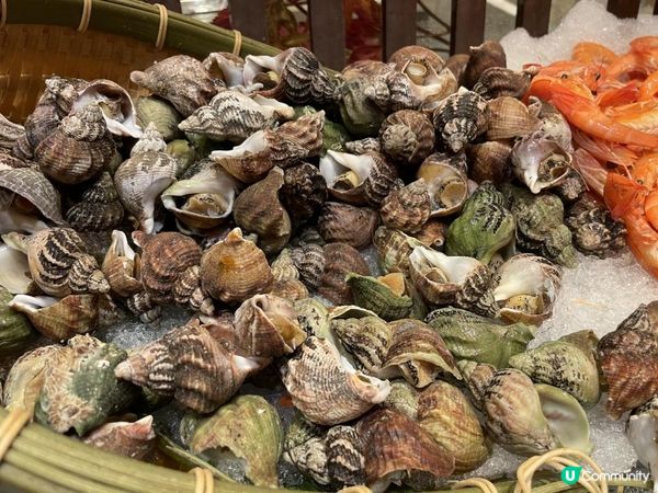 🦪 即開生蠔•抵食回本自助餐