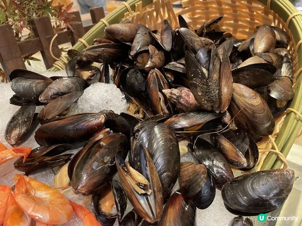 🦪 即開生蠔•抵食回本自助餐