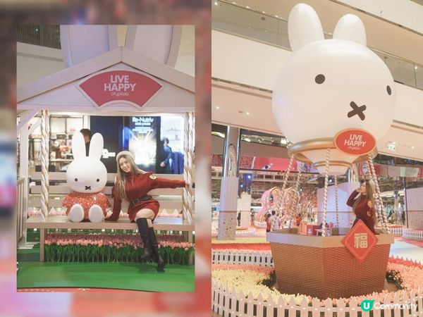 本命兔年 Miffy帶你盡睇太古打卡點
