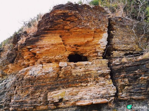 [行山要打卡] 18 - 東平洲