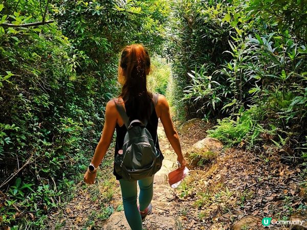 [跟我走。香港三尖] 1 - 釣魚翁