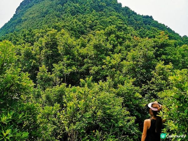 [跟我走。香港三尖] 1 - 釣魚翁