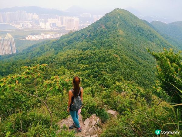 [跟我走。香港三尖] 1 - 釣魚翁