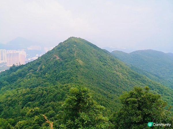 [跟我走。香港三尖] 1 - 釣魚翁