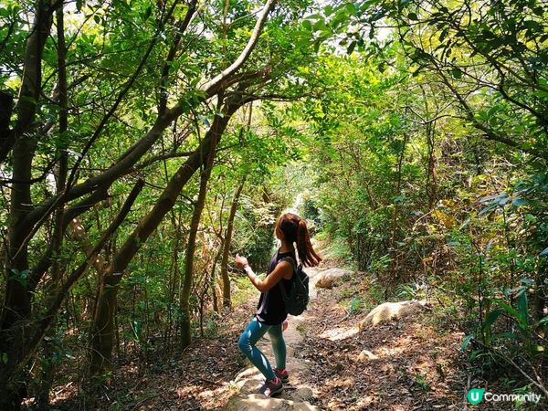 [跟我走。香港三尖] 1 - 釣魚翁