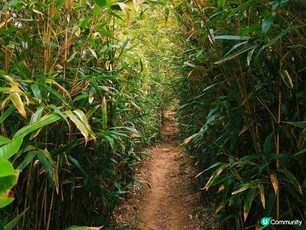 [跟我走。香港三尖] 1 - 釣魚翁