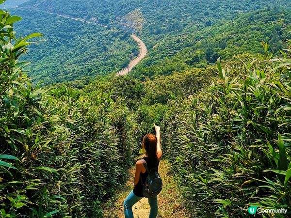 [跟我走。香港三尖] 1 - 釣魚翁