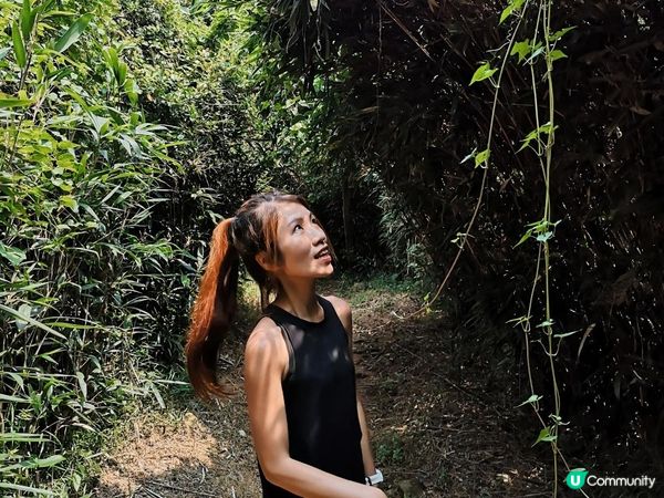 [跟我走。香港三尖] 1 - 釣魚翁