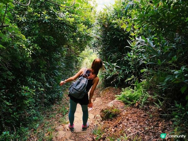 [跟我走。香港三尖] 1 - 釣魚翁