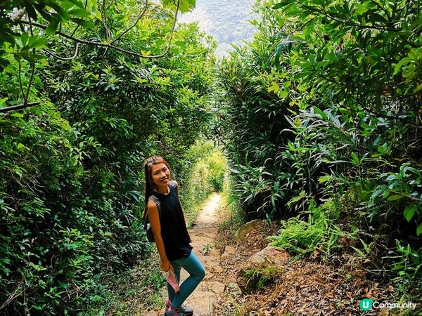 [跟我走。香港三尖] 1 - 釣魚翁