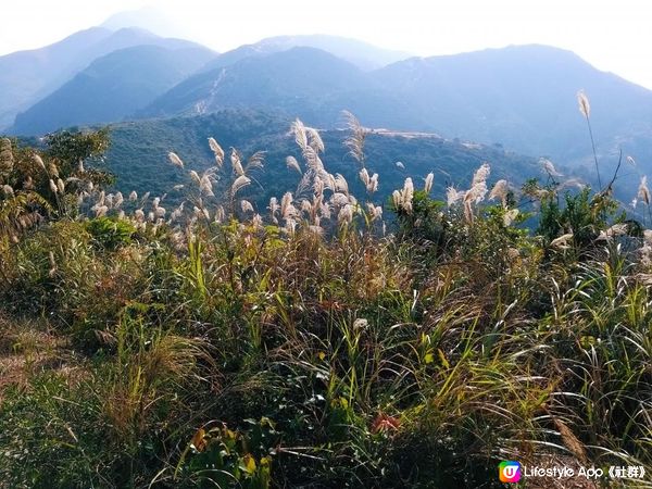 [行山要打卡] 16 - 良田拗峽谷