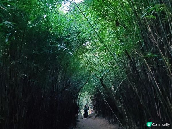 [行山要打卡] 11 - 河背水塘