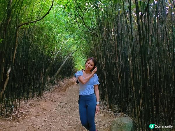 [行山要打卡] 11 - 河背水塘