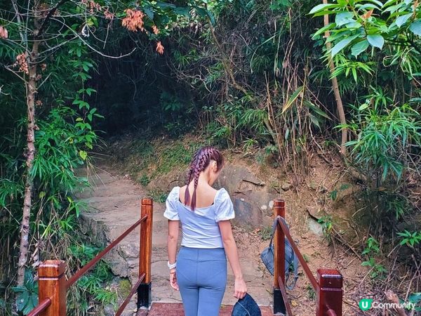 [行山要打卡] 11 - 河背水塘