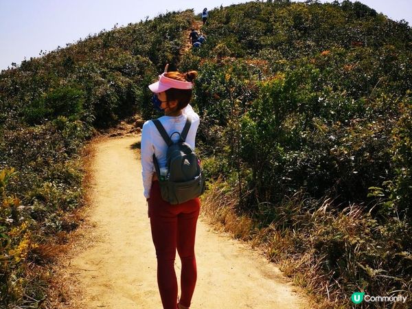 [行山要打卡] 2 - 紫羅蘭山。孖崗山