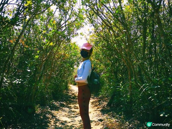 [行山要打卡] 2 - 紫羅蘭山。孖崗山