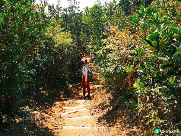 [行山要打卡] 2 - 紫羅蘭山。孖崗山