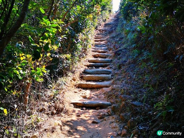 [行山要打卡] 2 - 紫羅蘭山。孖崗山