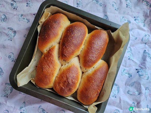 黑糖合桃提子包