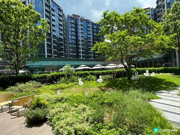 《Silicon Hill ~ Club House 開箱》