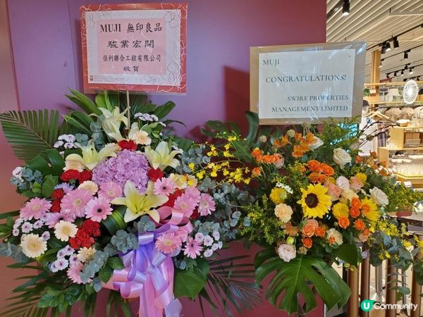 《突發 : 金鐘無印良品新店直擊》