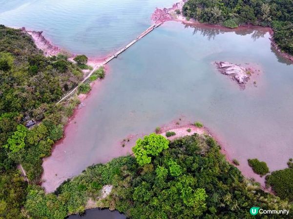 東北美景,烏交騰,三椏村,印洲塘,沙頭角遠足開心行