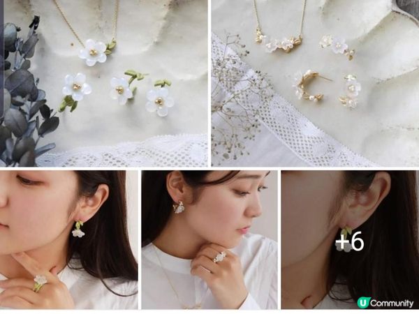 《Ayatorie 小熊系列 🐻》