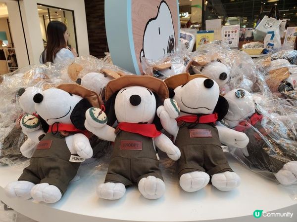 《Snoopy迷大召集! 📢📣》