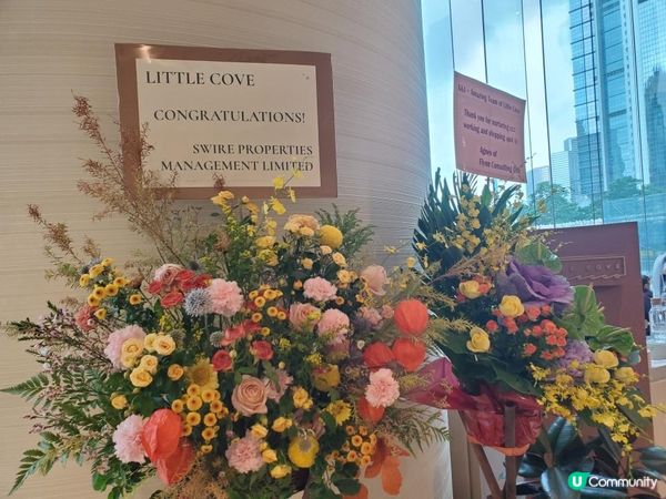 《Little Cove@Pacific Place》