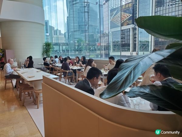 《Little Cove@Pacific Place》