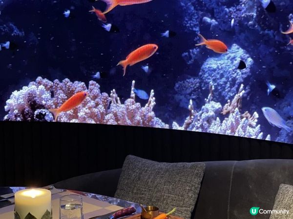 🌊 在海底吃半自助餐