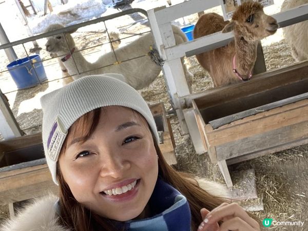 ✿漫遊北海道の美瑛✿