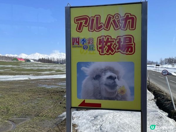 ✿漫遊北海道の美瑛✿