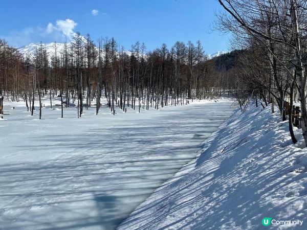 ✿漫遊北海道の美瑛✿