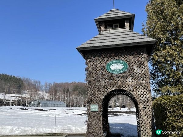 ✿漫遊北海道の美瑛✿
