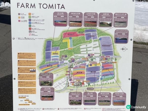 ✿漫遊北海道の美瑛✿